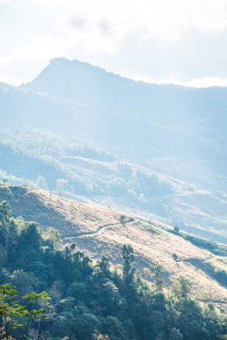 Tayland 'ın Chiangrai eyaletinde dağ manzarası.