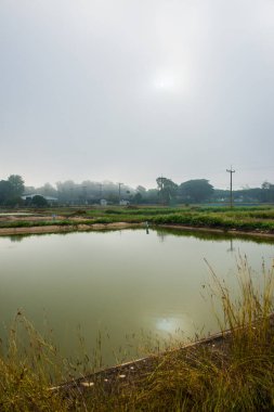Tayland 'ın Phayao eyaletinde kış mevsiminde sisli balık havuzu.