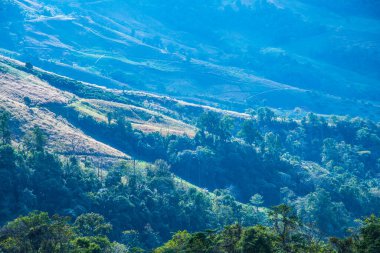 Tayland 'ın Chiangrai eyaletinde dağ manzarası.