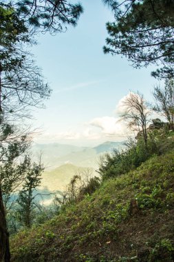 Tayland 'ın Chiangrai ilindeki Doi Pha Tang Dağı manzarası.