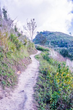 Tayland 'ın Chiangrai ilindeki Doi Pha Tang Dağı manzarası.