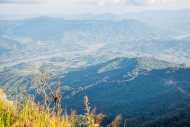 Tayland 'ın Chiangrai ilindeki Doi Pha Tang Dağı manzarası.