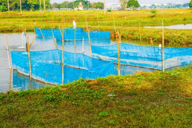 Tayland 'da balık kafesleri.