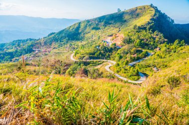 Tayland 'ın Chiangrai ilindeki Doi Pha Tang Dağı manzarası.