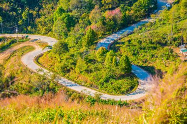 Chiangrai, Tayland 'da Doi Pha Tang yolu..