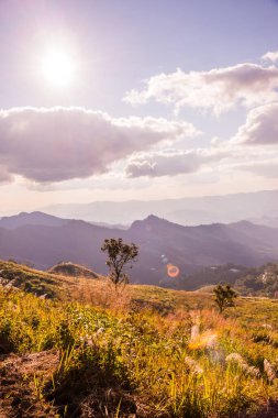 Tayland 'ın Chiangrai ilindeki Doi Pha Tang Dağı manzarası.