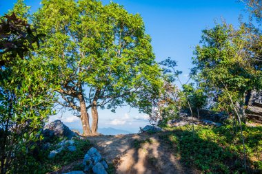 Doi Pha Tang 'ın Chiangrai, Tayland' daki görüş açısı.