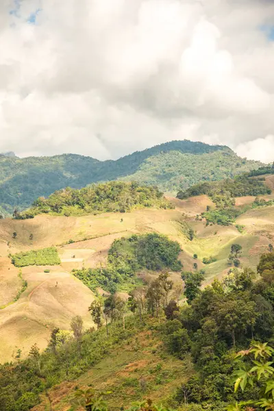 Tayland 'ın Chiangrai eyaletinde dağ manzarası.