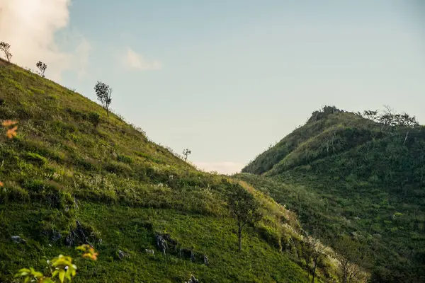 Tayland 'ın Chiangrai ilindeki Doi Pha Tang Dağı manzarası.