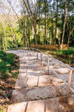 Ulusal Park, Tayland 'da beton merdiven.