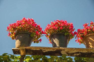 Tayland, Tayland 'da dağdaki bahçe.