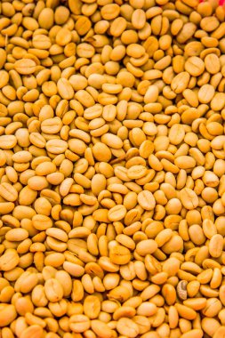 Background of coffee bean, Thailand.