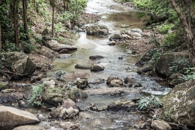 Tayland 'daki Mork Fa şelalesinde küçük bir kanal..