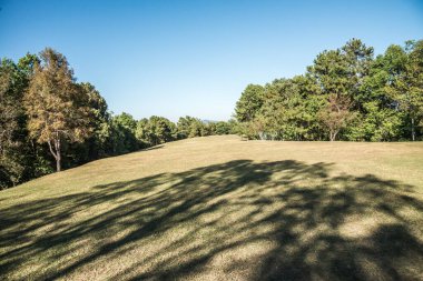 Tayland 'da, dağda çimler..
