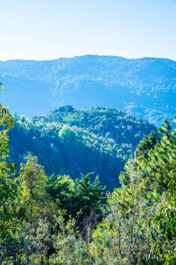 Doi Inthanon Ulusal Parkı, Tayland Dağ Manzarası.