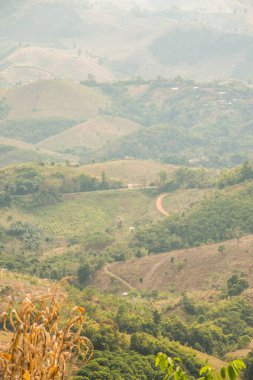 Tayland 'ın Phayao eyaletindeki dağ manzarası.
