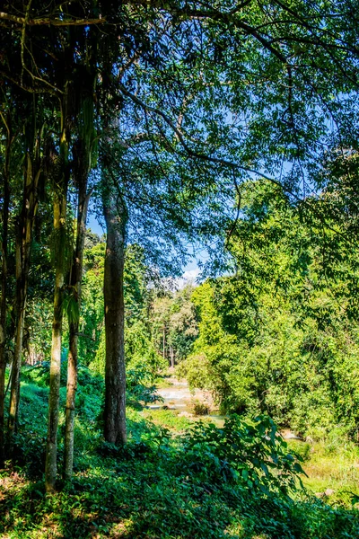 Doi Phu Nang Ulusal Parkı, Tayland.