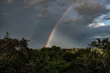 Tayland 'ın Chiangmai şehrinde ağaçlı gökkuşağı..