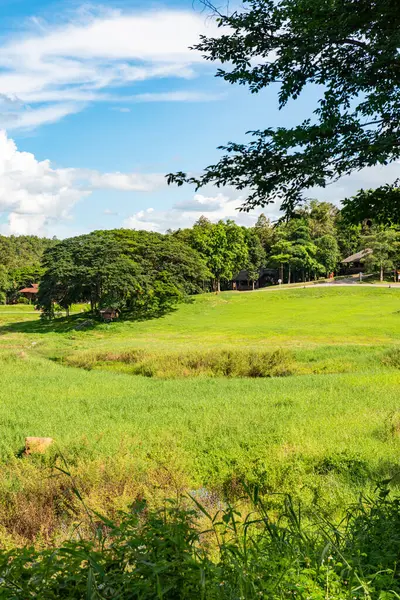 Phayao 'daki Maepuem Milli Parkı' nın manzarası çok güzel..