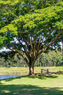 Mae Puem Ulusal Parkı, Tayland Manzarası.
