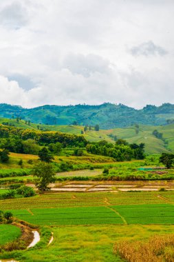 Tayland 'ın Chiang Rai eyaletinde güzel doğal manzara..