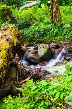 Champa Tanga Şelalesinde Su Akıyor, Tayland.