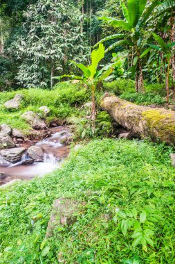 Champa Tanga Şelalesinde Su Akıyor, Tayland.
