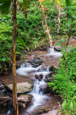 Champa Tanga Şelalesinde Su Akıyor, Tayland.
