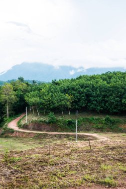 Tayland kırsalında Laterite Yolu.