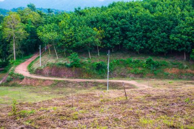 Tayland kırsalında Laterite Yolu.
