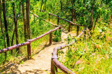 Pha Chau Kanyonu, Tayland 'a merdiven..