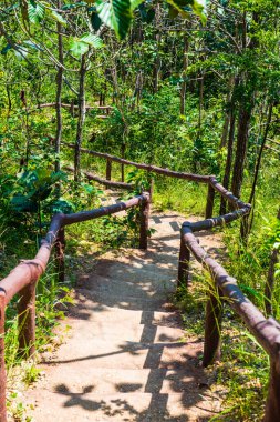 Pha Chau Kanyonu, Tayland 'a merdiven..