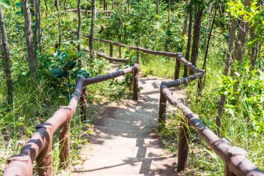 Pha Chau Kanyonu, Tayland 'a merdiven..