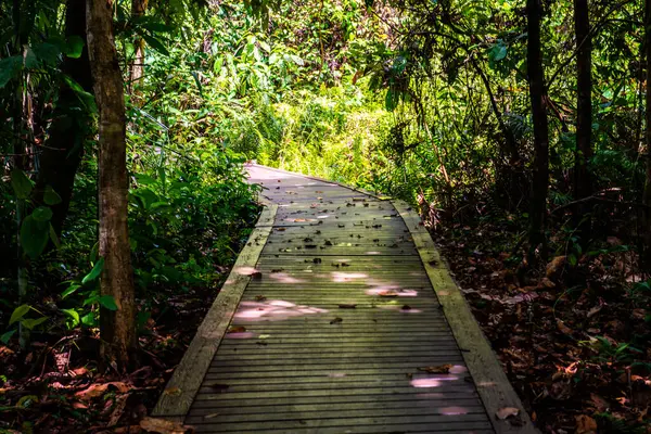 Phu Sang, Tayland 'da doğa yolu..