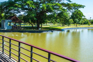 Tayland 'ın Chiang Rai şehrinde göllü teras..