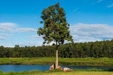 Mae Puem rezervuarının manzara görüntüsü, Tayland.