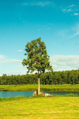 Mae Puem rezervuarının manzara görüntüsü, Tayland.