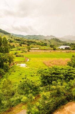 Tayland 'ın Chiang Rai eyaletinde güzel doğal manzara..
