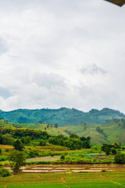 Tayland 'ın Chiang Rai eyaletinde güzel doğal manzara..