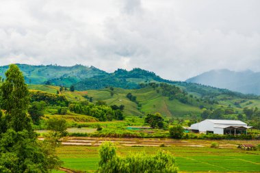 Tayland 'ın Chiang Rai eyaletinde güzel doğal manzara..