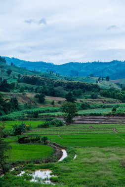Chiang Rai Eyaleti, Tayland Doğal Manzarası.