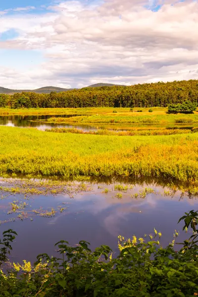 Phayao 'daki Maepuem Milli Parkı' nın güzel göl manzarası.