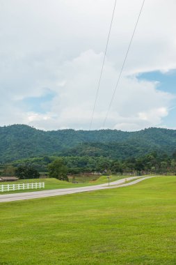 Bisiklet yolu olan yeşil çimenlik alan, Tayland.