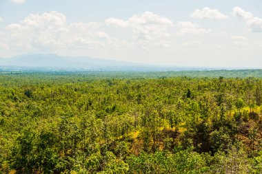 Tayland 'daki Khun Wang Milli Parkı' nın Dağ manzarası.