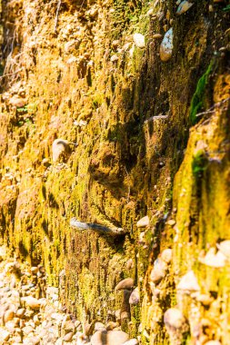 Toprak katmanlarının arka planı, Tayland.