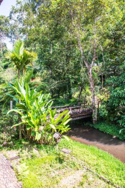 Küçük kanallı park, Tayland.