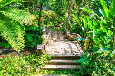 Küçük köprüsü olan park yeri, Tayland.