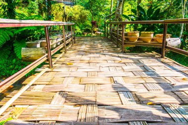 Tayland 'da parkta küçük bir köprü..