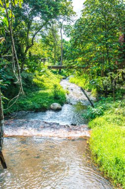 Küçük kanallı park, Tayland.