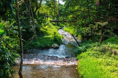 Küçük kanallı park, Tayland.